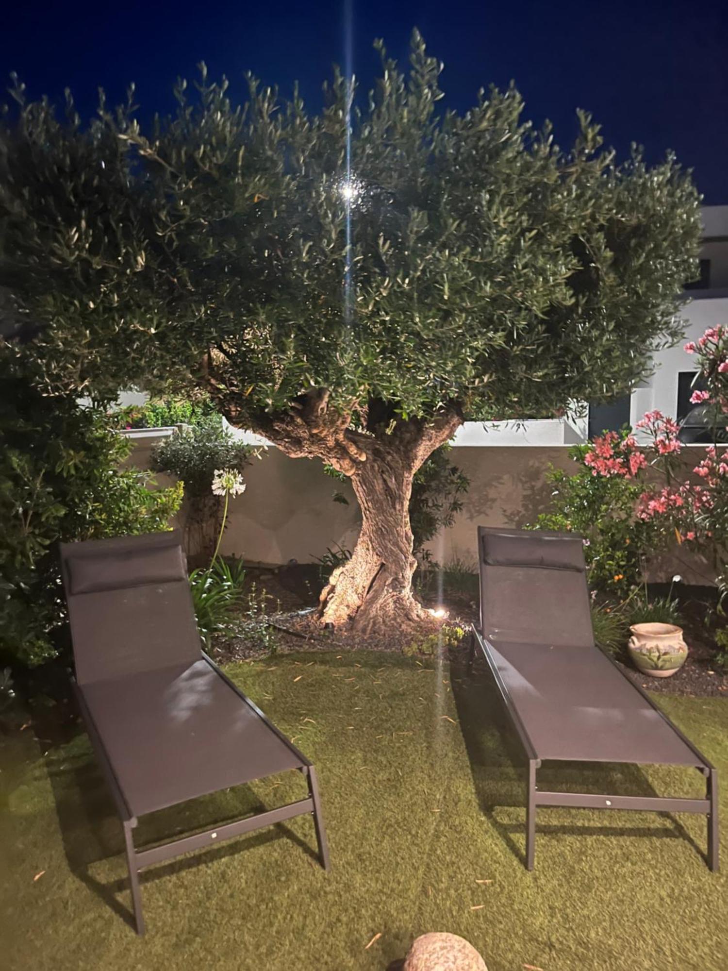 Villa Dolce Vida Proche Golf, Lac, Plage Et Collioure Villeneuve-de-la-Raho Eksteriør billede